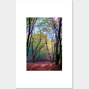 Early Spring in the Forest Posters and Art